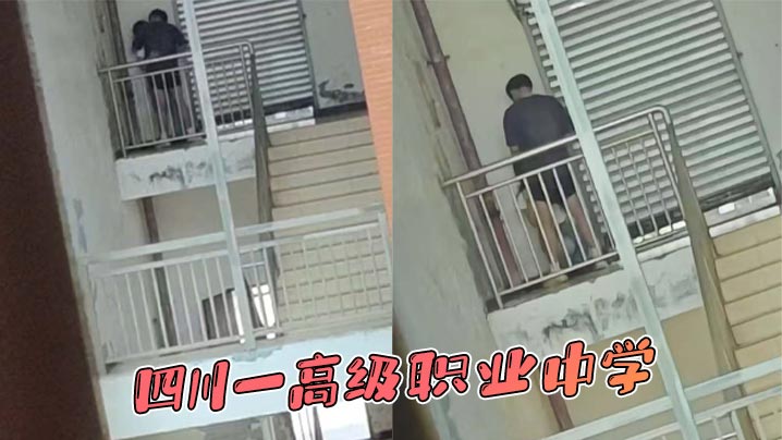 四川一高级职业中学封面图