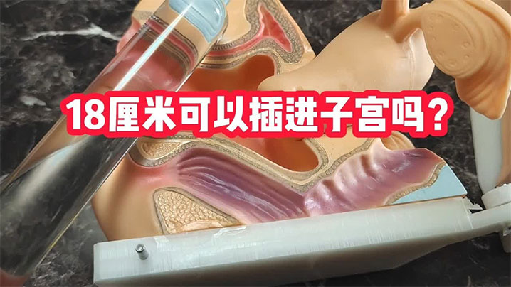 【猎奇】科普18cm可以插进子宫吗?
