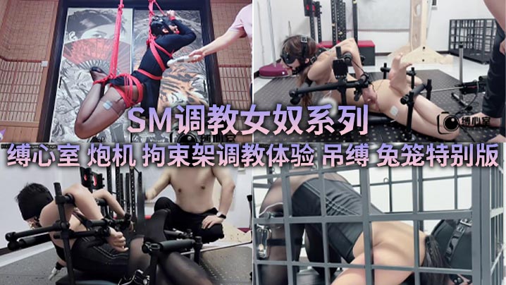 SM调教女奴系列 缚心室 炮机 拘束架调教体验 吊缚 兔笼特别版-巨乳美少女合集封面图