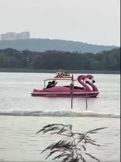 幅度也太大了..封面图